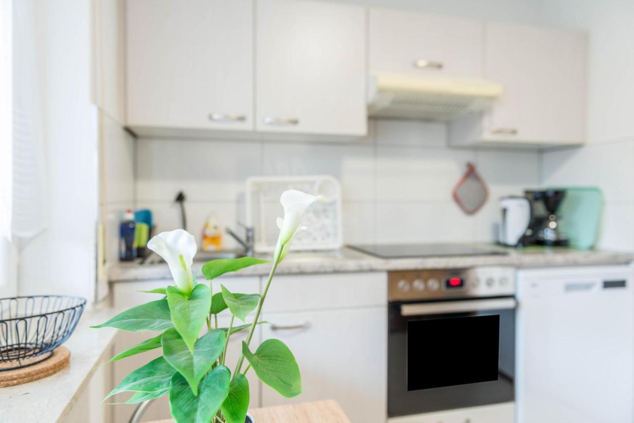 Apartment Neunzehn 史塔卡赫 外观 照片